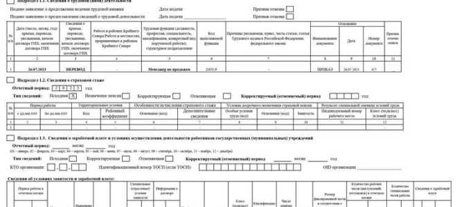 Какие отчеты сдает кадровик в 2023 году