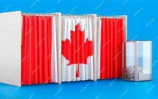 Как собрать кабину для голосования на выборах