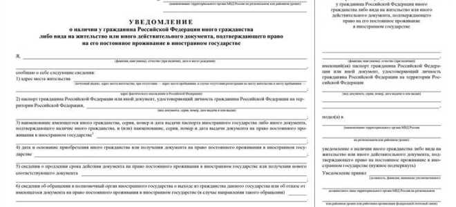 Как уведомить о втором гражданстве