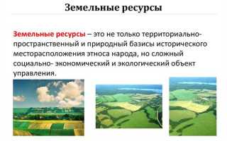 Как изменяются земельные участки при рациональном использовании