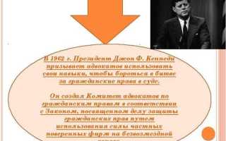 Pro bono юридическая помощь что это