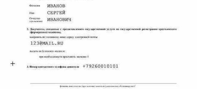 Как правильно писать ип глава кфх или глава кфх