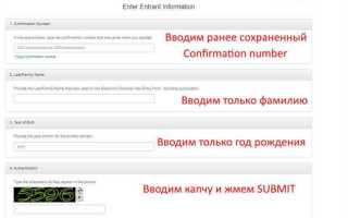 До какого числа можно подать