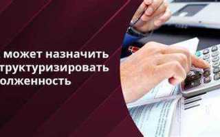 Какая статья за неуплату кредита