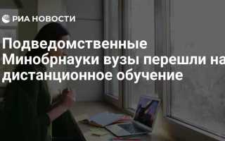 Подведомственные вузы минобрнауки что это