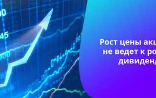 Что является источником выплаты дивидендов акционерам