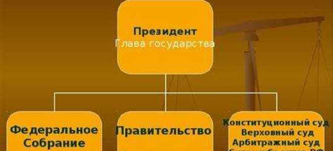 Как называется орган законодательной власти