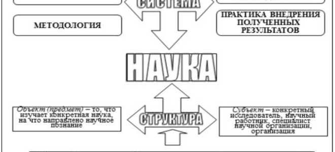 Как называется деятельность направленная на получение и применение новых знаний