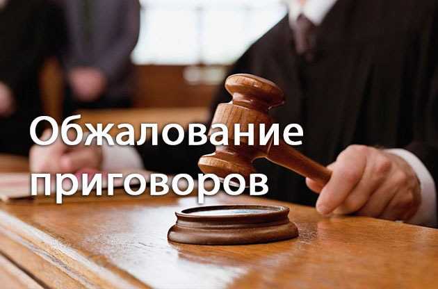 Апелляция по уголовному делу как проходит Апелляция по уголовному делу как проходит