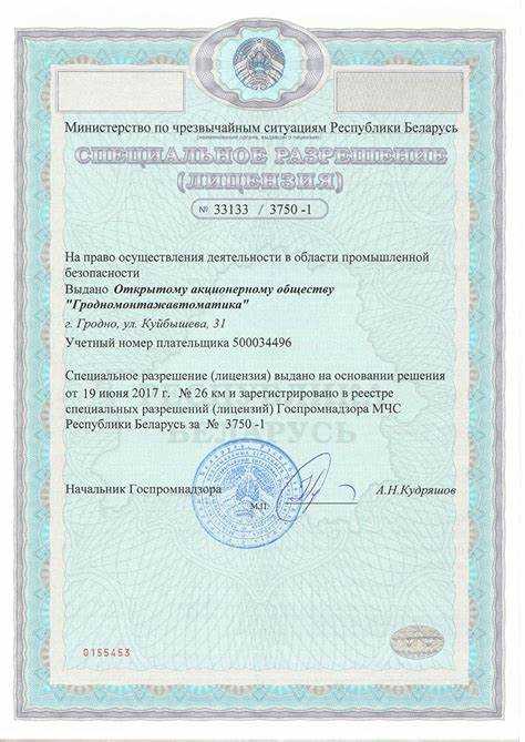 Документальное оформление и внутренний контроль учета бессрочной лицензии