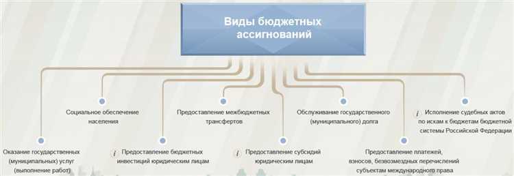 Ограничения и лимиты бюджетных ассигнований в течение года