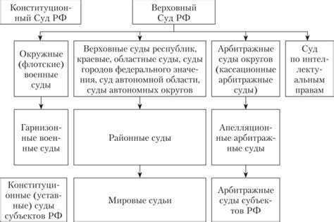 Апелляционные и кассационные суды: распределение и функции