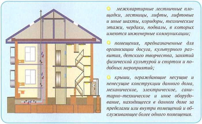 Какие элементы здания относятся к несущим конструкциям и общему имуществу