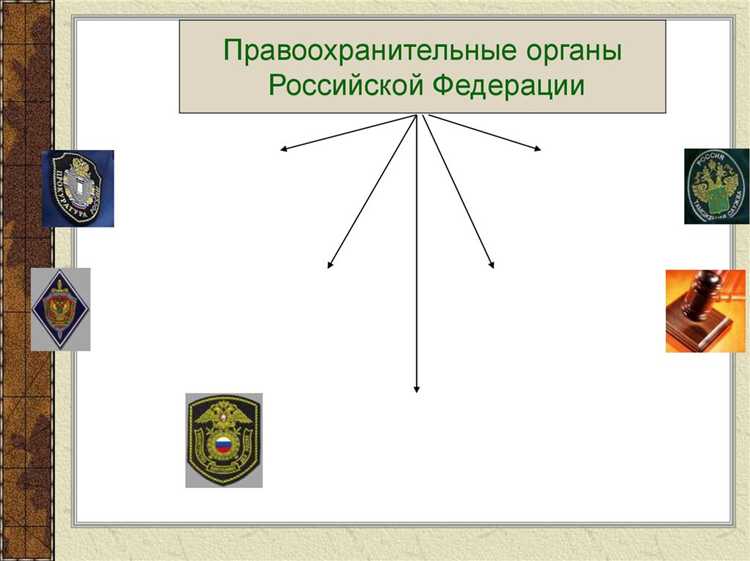 Роль таможенных органов в правоохранительной системе