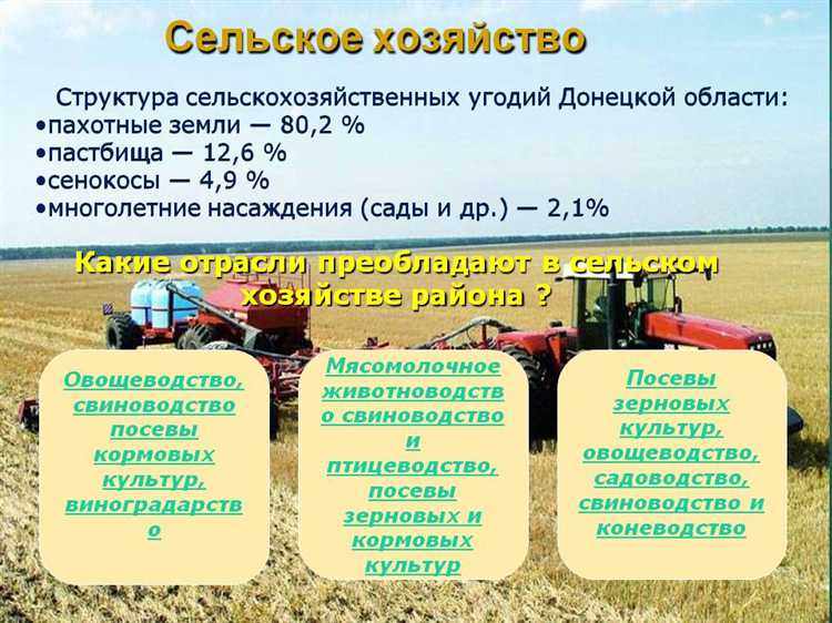Продукция садоводства и ягодников: характеристики и сезонные факторы