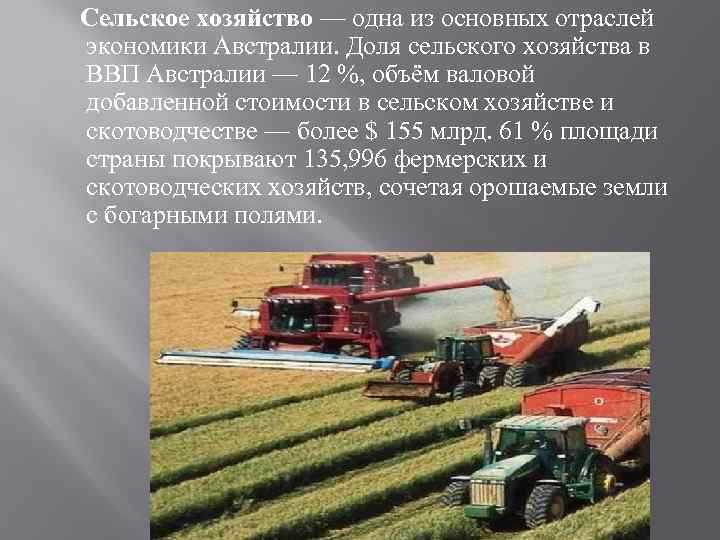 Основные виды продукции растениеводства и методы её классификации