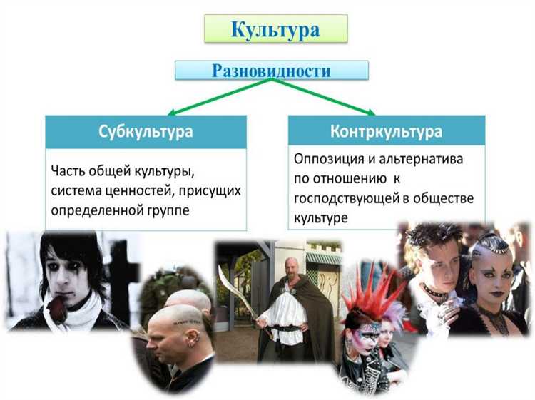 Что относится к учреждениям культуры Что относится к учреждениям культуры