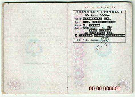 Что писать в графе паспортные данные Что писать в графе паспортные данные