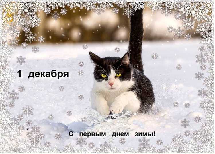 Какие коммунальные услуги подорожали с 1 декабря