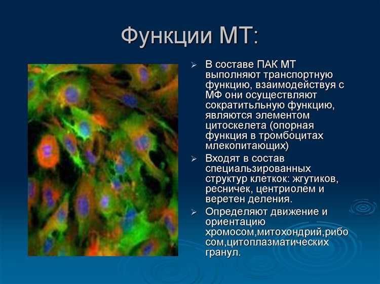 Связь микротравм с когнитивной нагрузкой при выполнении тестов