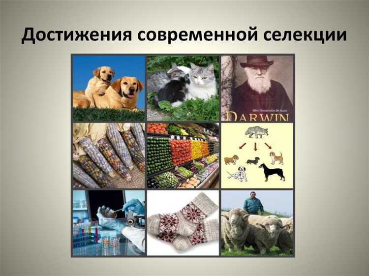 Что такое охраноспособность и как она определяется