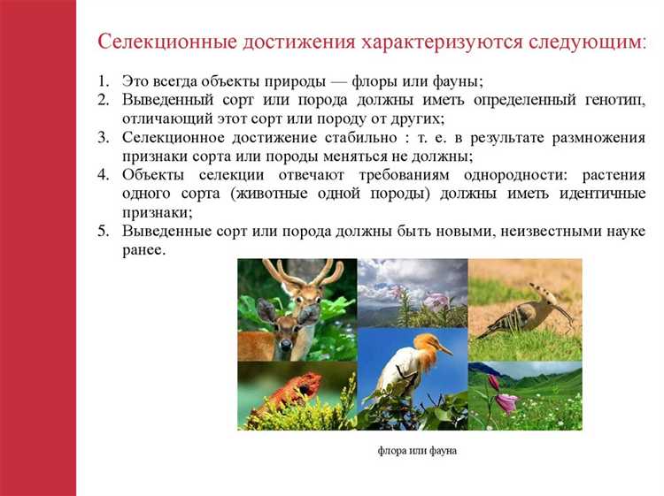 Что понимается под селекционным достижением Что понимается под селекционным достижением
