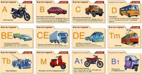 Что попадает под категорию м