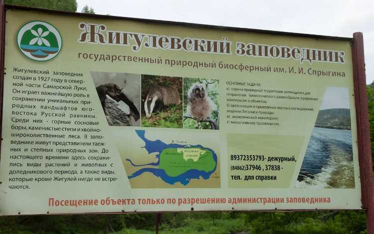 undefinedГотово. Если нужно написать следующий раздел – дайте тему.