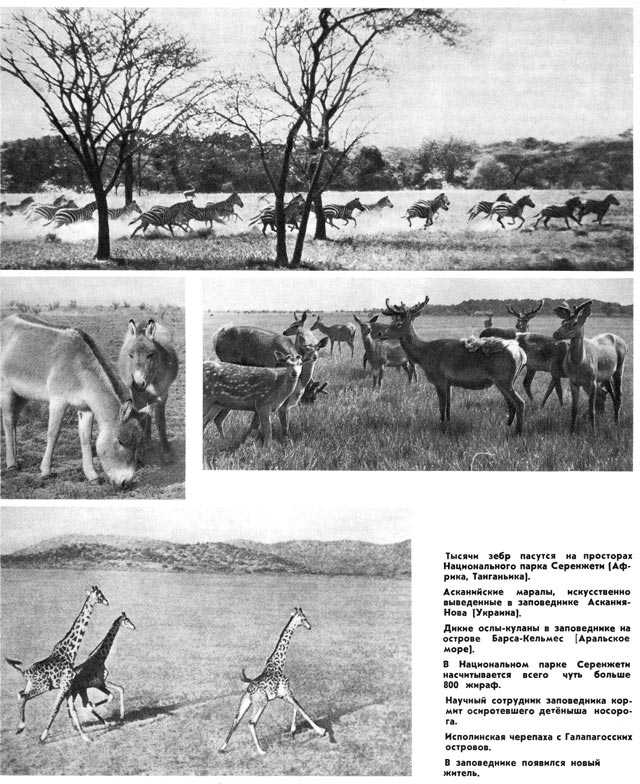 Ознакомление с информационными стендами и экспозициями
