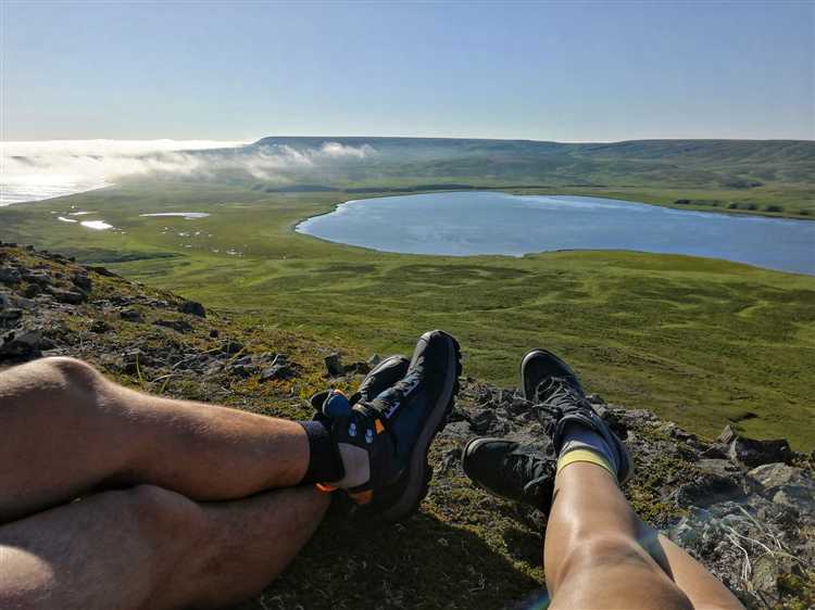 Фотографирование и видеосъёмка дикой природы без вторжения в среду обитания