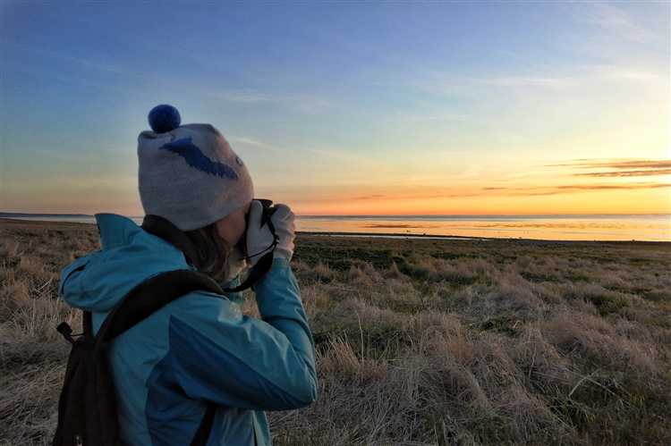 Что разрешено делать в заповеднике Что разрешено делать в заповеднике