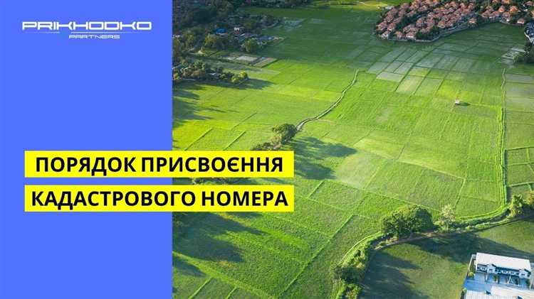 Кадастровый квартал: структура и границы