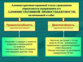 Принципы равенства и недискриминации в правовом статусе