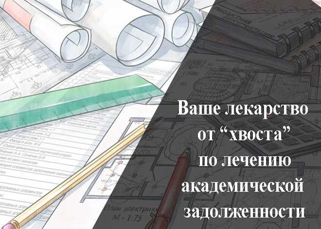 Какие сроки установлены для ликвидации академической задолженности