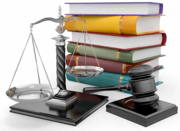 Как оспариваются и толкуются спорные дефиниции в суде