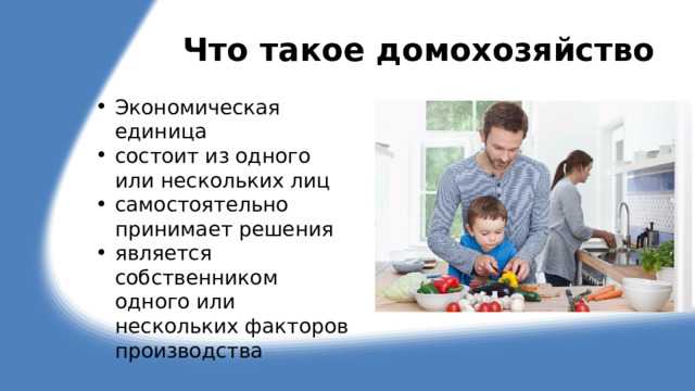 Домохозяйство как производитель на рынке труда