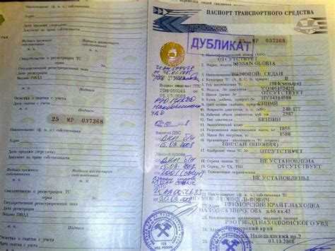 Процедура подачи заявления на дубликат в госорган