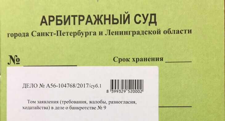 Какие объекты не признаются единственным жильем по закону
