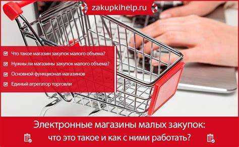 Что такое электронный магазин в госзакупках