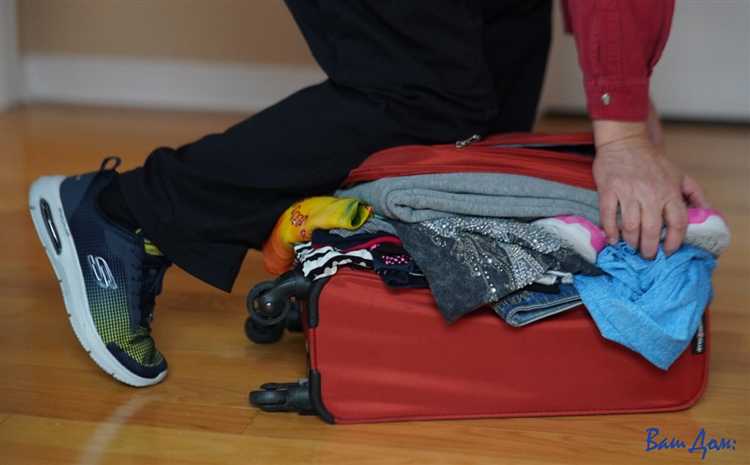 Правила перевозки специальных предметов и их связь с излишней ручной кладью