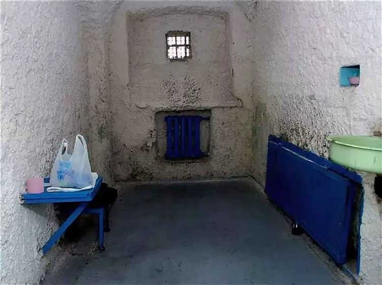 Как отношение к касатке зависит от типа колонии и региона