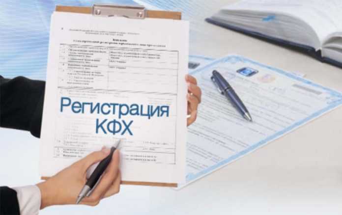 Учёт доходов и расходов в КФХ для целей налогообложения