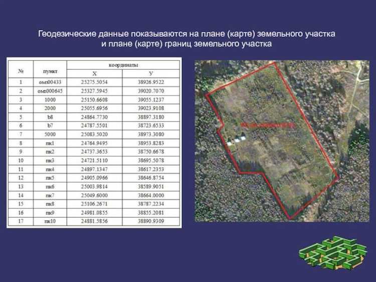 Как решать споры и ошибки, выявленные после межевания