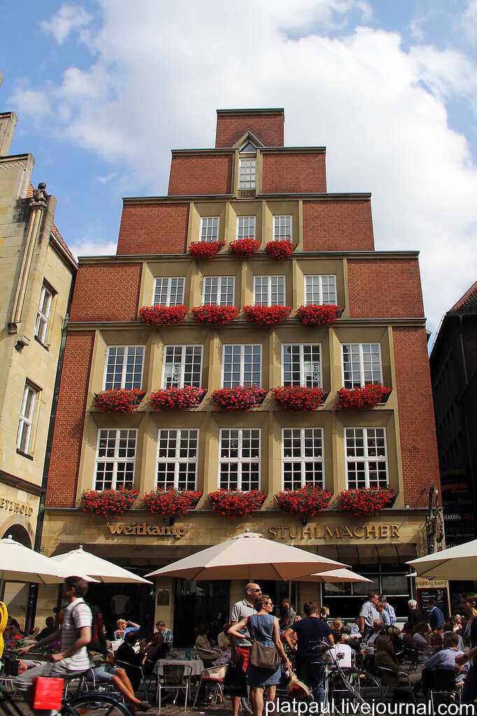 Что такое мус в германии Что такое мус в германии