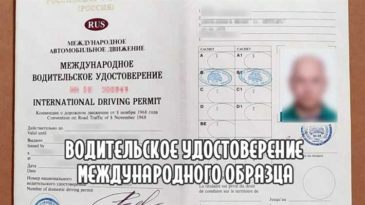 Национальное водительское удостоверение: значение и особенности