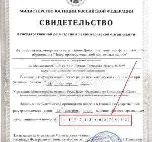 Использование ОГРН при взаимодействии с налоговыми органами