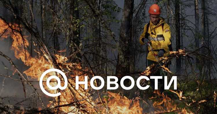 Ограничения и запреты в условиях режима