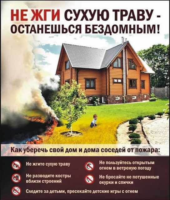 Что такое особый противопожарный режим Что такое особый противопожарный режим