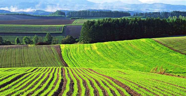 Риски и меры защиты интересов собственников паев