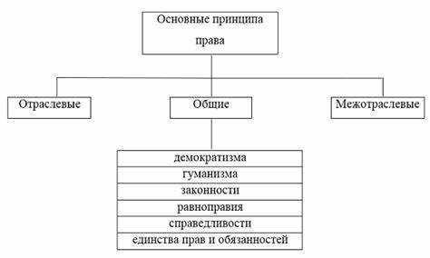 Что такое принцип в праве Что такое принцип в праве